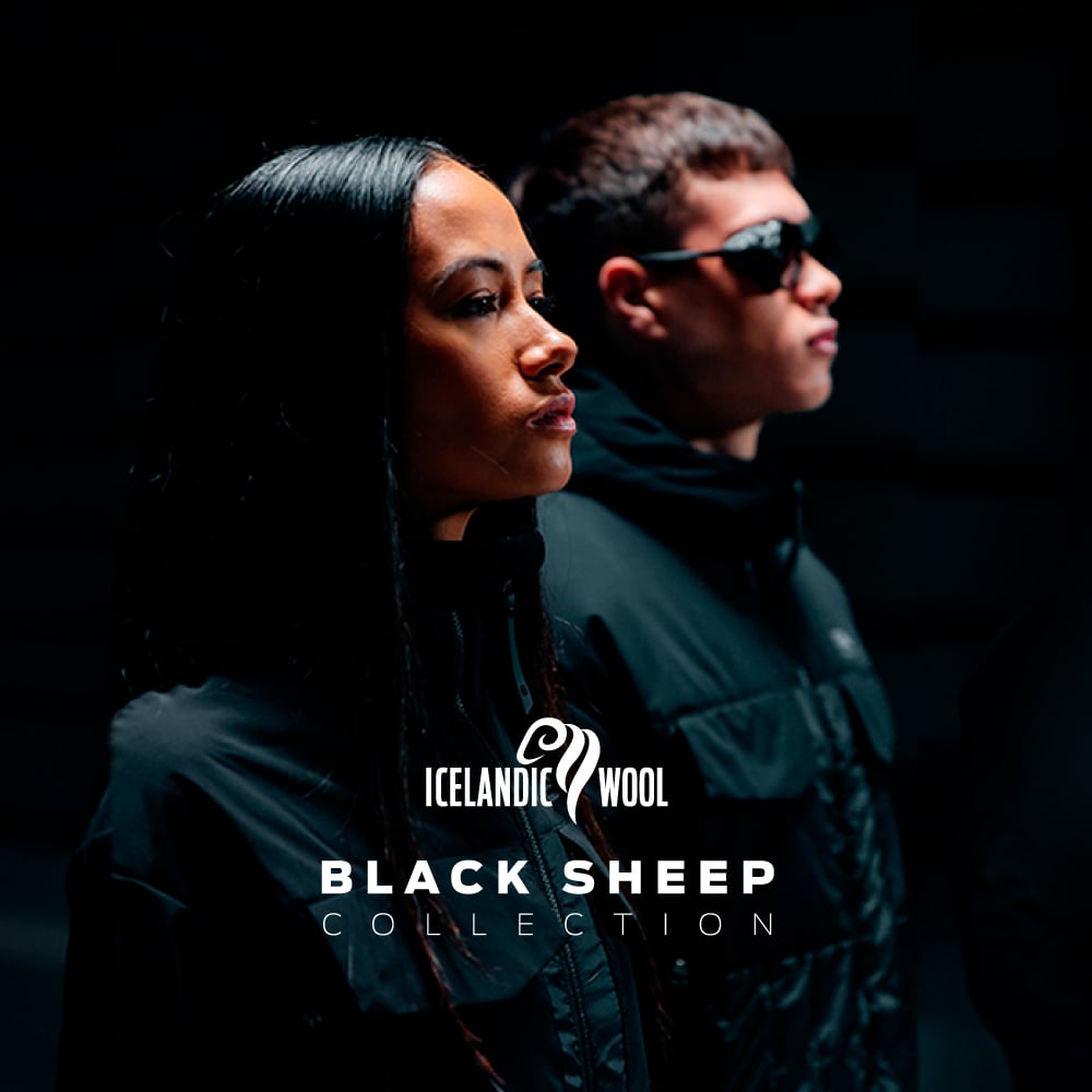 Black Sheep Collection | Laine islandaise & OEKOTEX-100