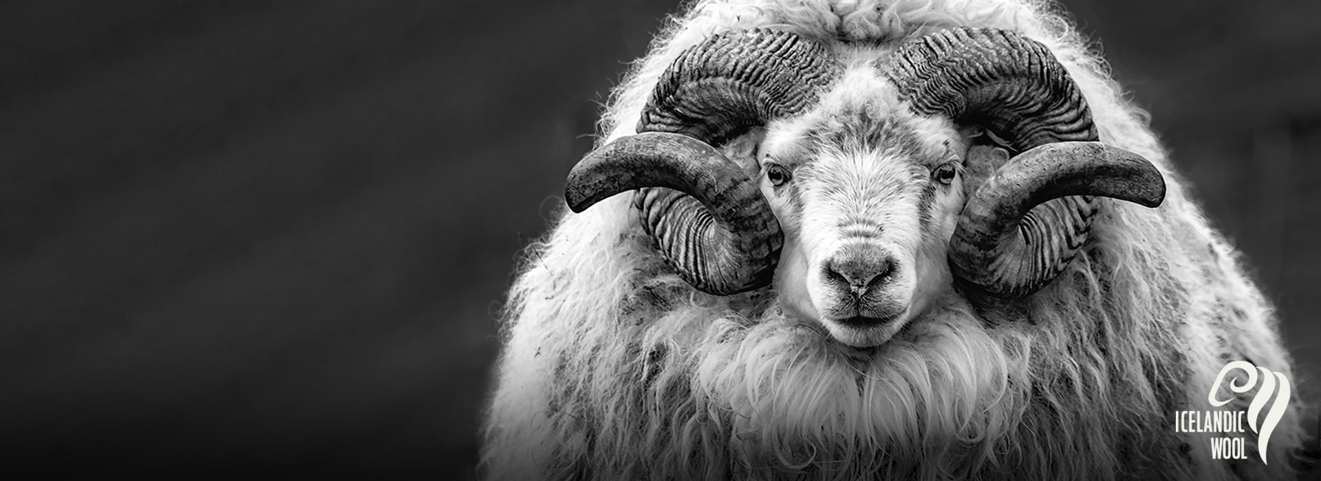 Icelandic wool insulation