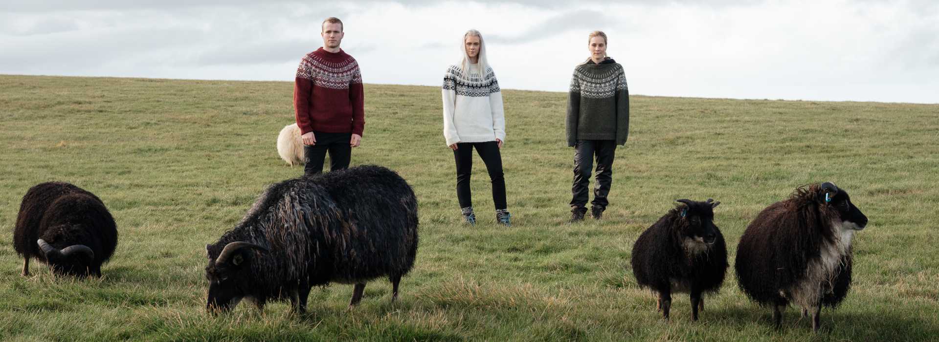on Nordic sweaters